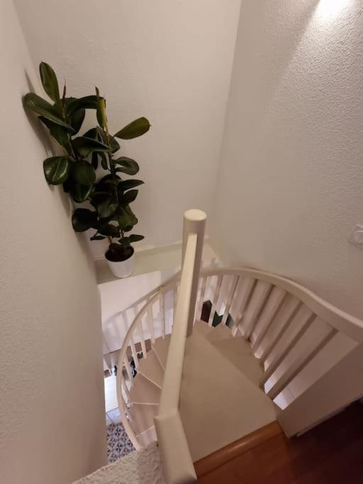 Le Dali-Duplex Au Pied De Castillet Perpignan Exterior foto